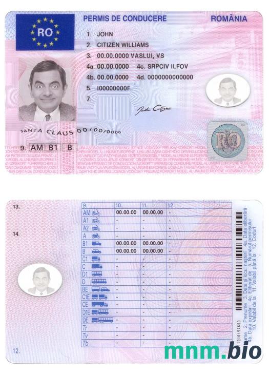 Szablon prawa jazdy w Rumunii w formacie PSD, ze wszystkimi czcionkami